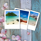 Polaroid 9х13 8 шт.